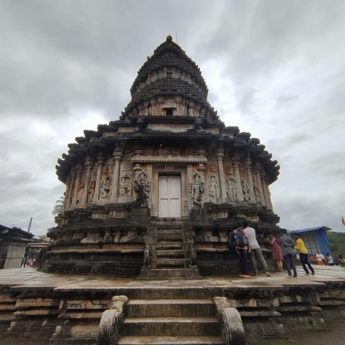 pexels-photo-13334237